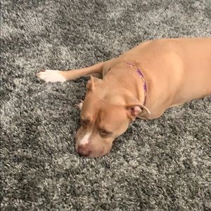 Meet your Posher, Madison